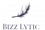 BIZZLYTIC