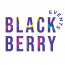 Blackberry Events