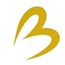 Bless Tech Solutions Pvt. Ltd.