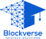 Blockverse Infotech Solutions