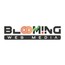Blooming Web Media