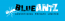 Bluant Digital