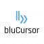 bluCursor Infotech Pvt Ltd