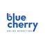 Blue Cherry Online Marketing