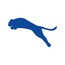 Blue Leopard Media
