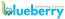 BLUEBERRY MEDCORP LLC