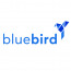 Bluebird Development