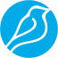 Bluebird International