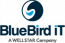 BlueBird iT Solutions Inc