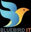 Bluebird IT