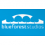 Blueforest Studios