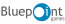Bluepoint Games