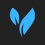 BlueVine Digital Marketing Solutions