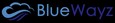 BlueWayz Corporation