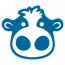 Blumoo Creative