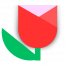 Bluum Digital