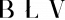 BLV - Believe Strategic Marketing Media