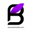 Brahmative
