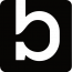 BrainSource.Network
