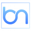 Brainy Neurals Private Limited