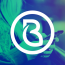 Brandmint