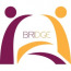 Bridge Billing Services