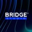 Bridge Studio Mx