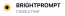 BrightPrompt Consulting LLC