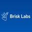 brisklabs.dev