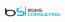 BSNS CONSULTING