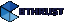 Business Thrust SDN BHD