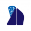 Buinsoft Technology S.R.O