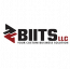 Business Intelligence & IT Solutions LLC (BIITS)