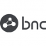 Business Network Consulting