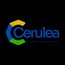 CAERULEAN BYTECHAINS PRIVATE LIMITED