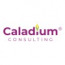 Caladium Consulting