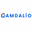 Camdalio Digital Marketing Agency