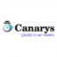 Canarys