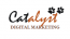 Catalyst Consulting Services