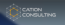 Cation Consulting