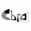 Cbra Global