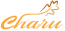 Charu Mindworks