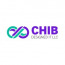 Chib Designed It