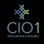 CIO1 Business Intelligence