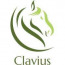 Clavius solutions