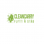 CleanCarry AB