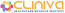 Cliniva Healthcare Revenue Services