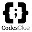 CodesClue Technologies
