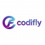 CodiFly IT Solutions