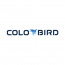 COLO BIRD